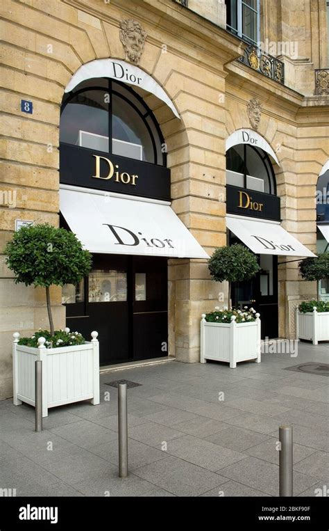 dior fine|Dior online shopping.